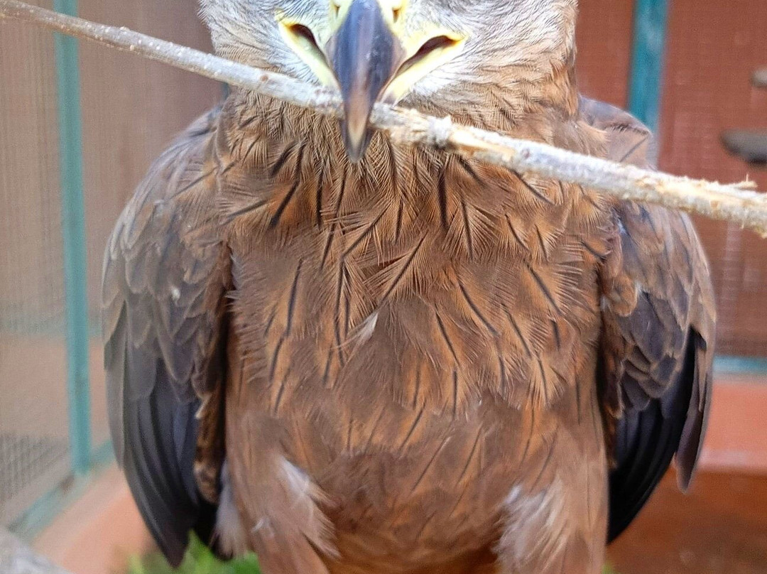 Eden Botanical Garden Toliara-Toliara必去景点
