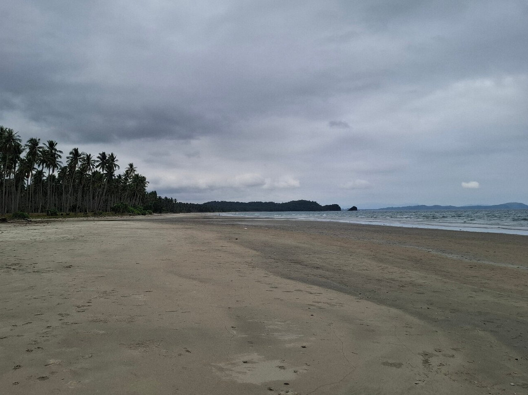 Long Beach-San Vicente必去景点
