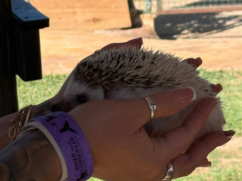 Pai Pai Ecotourism Park-恩塞纳达必去景点