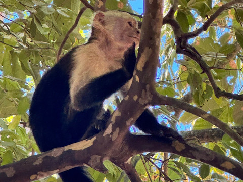 Reserva Curu-彭塔雷纳斯必去景点