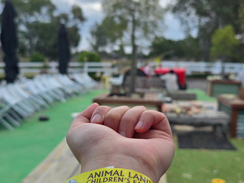 Animal Land Children's Farm-Diggers Rest必去景点