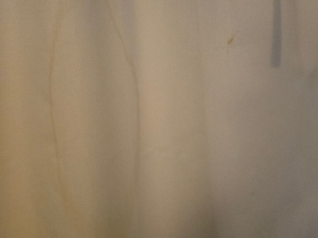 怀特考特温德姆戴斯酒店主图
