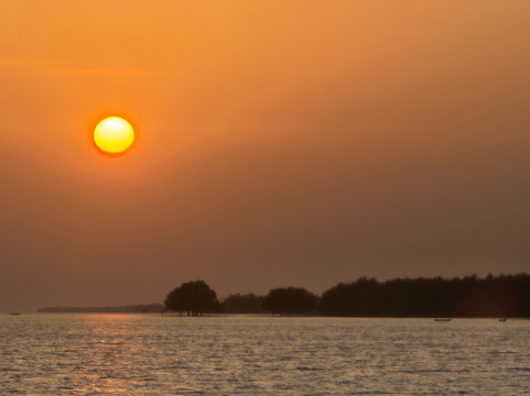 Pole Pole Bungalows主图