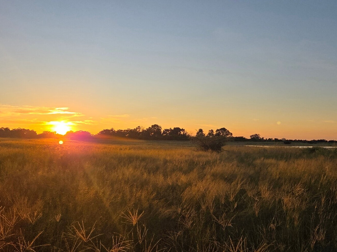 Mosu Safari Tours-马翁必去景点