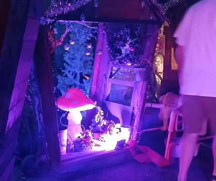 Boyett's Grove-布鲁克斯维尔必去景点