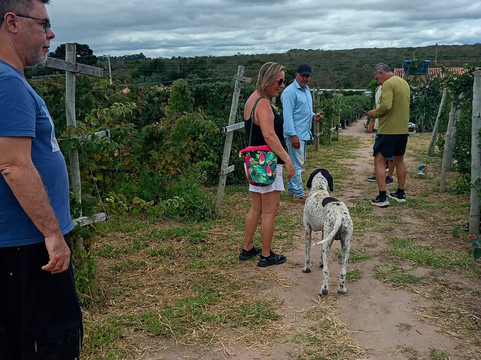 Sítio Frutas Vermelhas-Mucuge必去景点