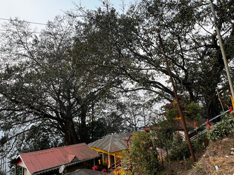 Ambotia Shiva Mandir Temple