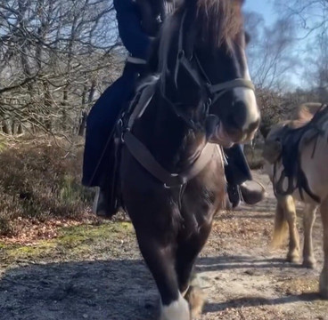 The Mill Ranch-埃德必去景点