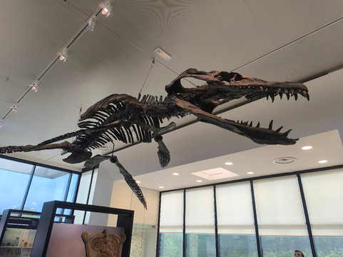 Paléospace-Villers-sur-Mer必去景点