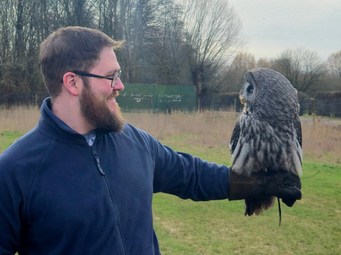 Millets Farm Falconry Centre-弗里福德希斯必去景点