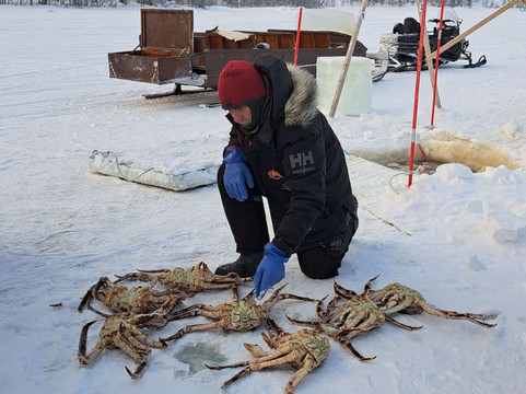 帝王蟹捕捞之旅-希尔克内斯必去景点