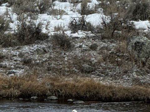Back Country Adventures-西黄石镇必去景点