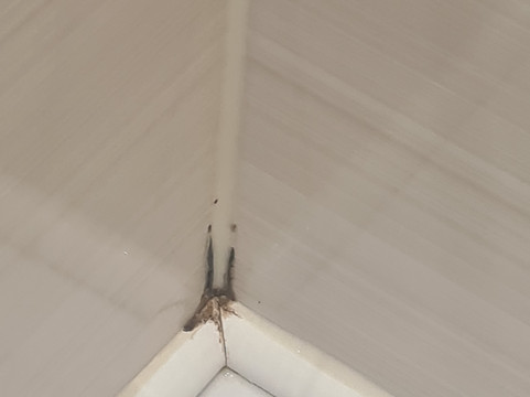 剑桥郡圣艾芙金狮酒店主图