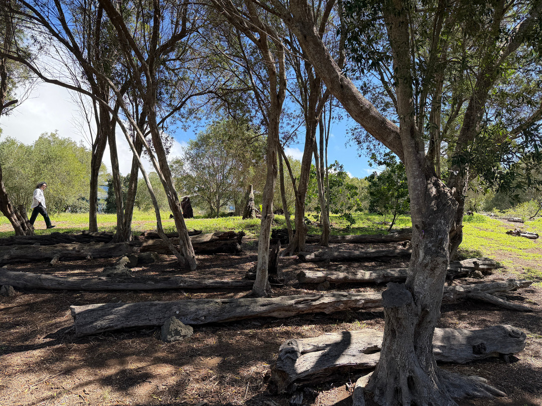 Ulu La'au (waimea Nature Park)-卡慕也拉必去景点