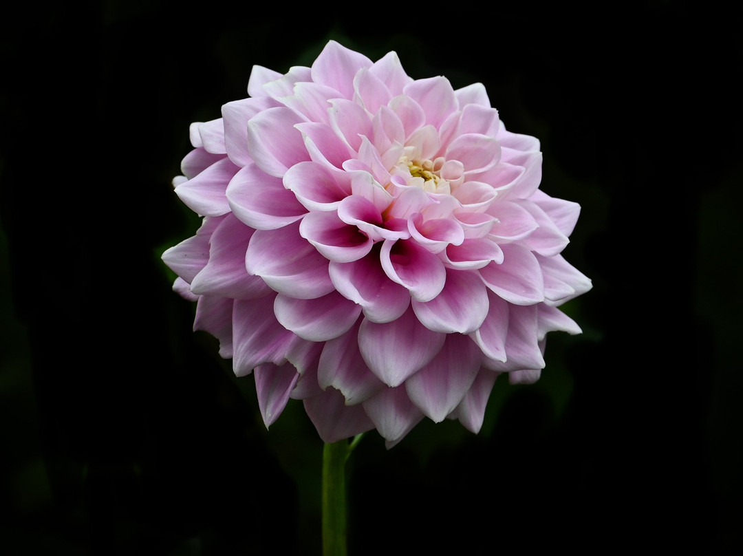 萨多勒里乡村别墅主图