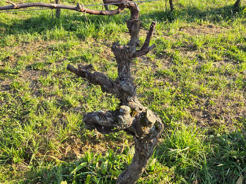 Podere Dei Folli-Polpenazze del Garda必去景点