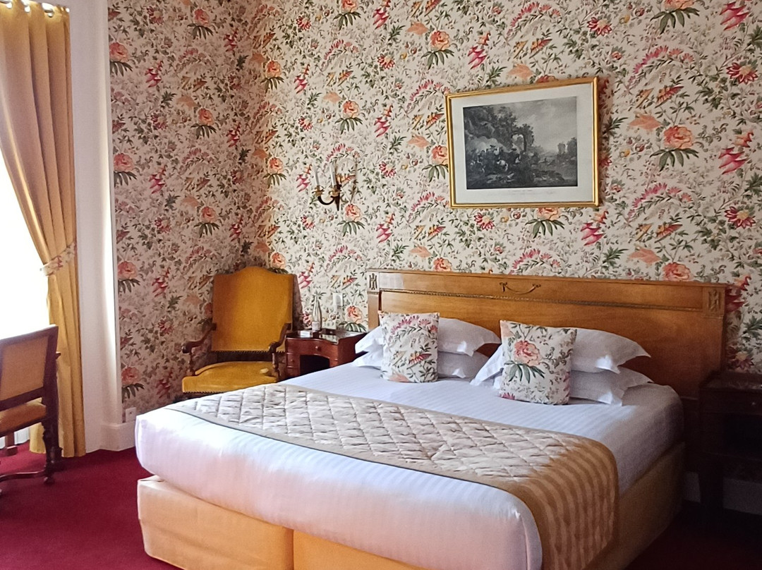 阿尔蒂尼城堡酒店主图