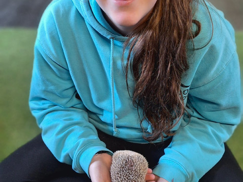 Milestone Ranch Country Park-唐克斯特必去景点