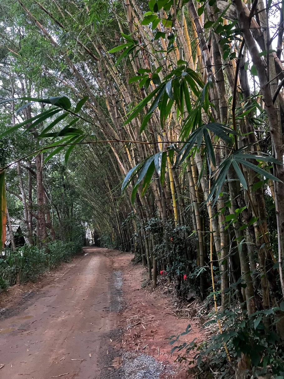 杰特威水田奢居-浴室