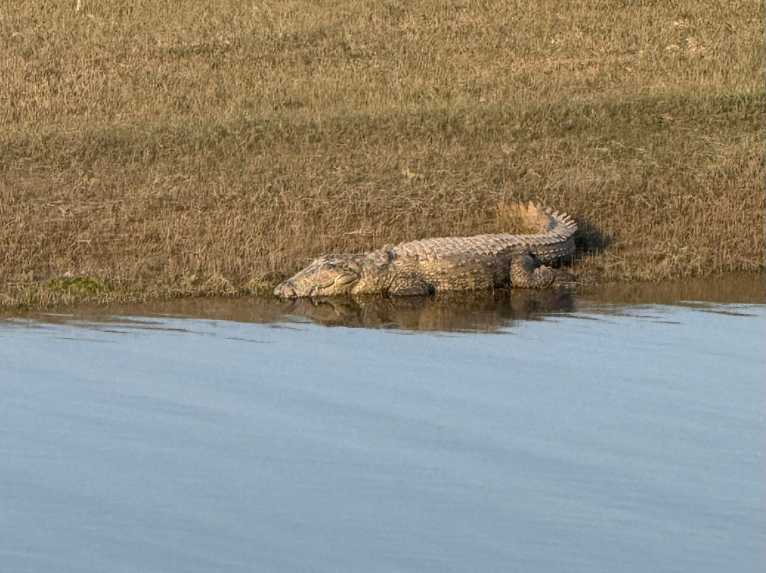 比贾布尔小屋主图