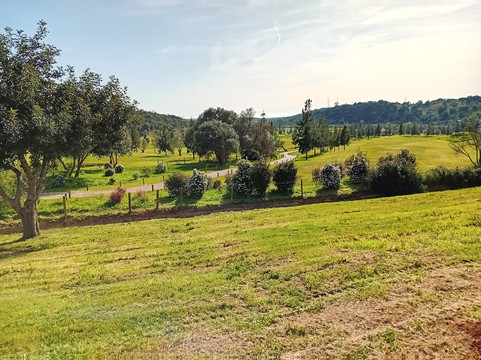 Oakdale Golf Club-哈罗盖特必去景点