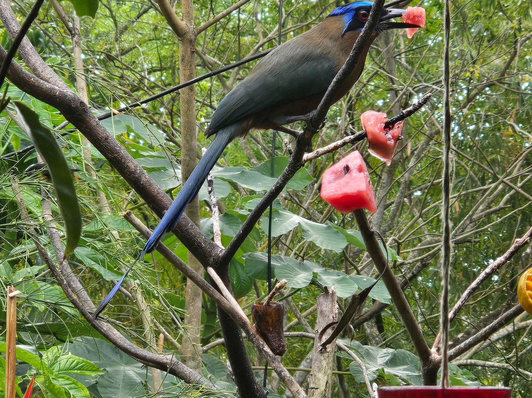 Eureka Natural History Tours-斯卡伯勒必去景点