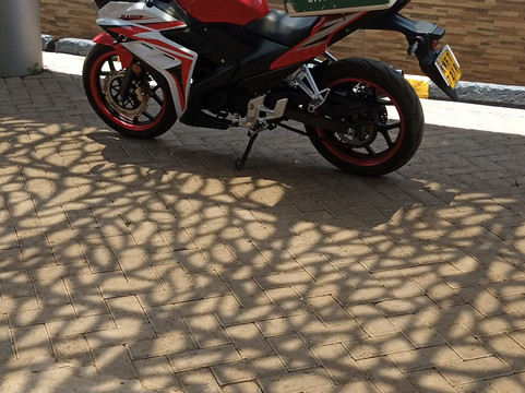 诺克拉斯银橡树 恩布主图