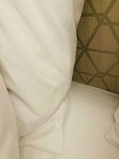 Holiday Inn 费城樱桃山主图