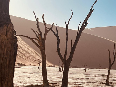 Deadvlei-苏丝斯黎必去景点