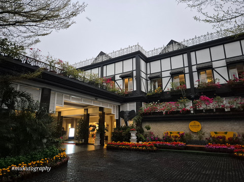 梅菲尔茶度假村主图