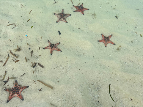 海星沙灘-Ganh Dau必去景点