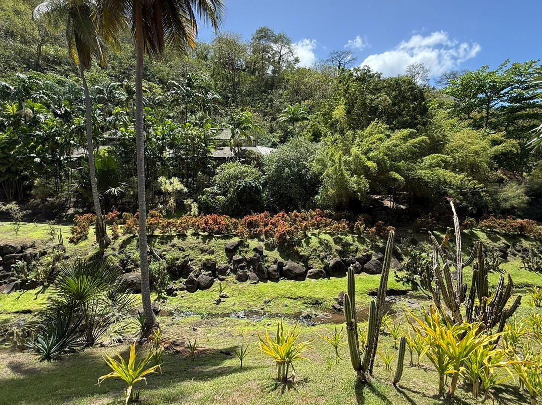Zoo de Martinique-Le Carbet必去景点