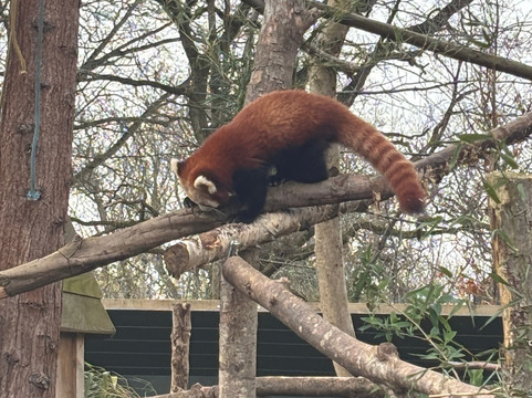 Bristol Zoo Project-Easter Compton必去景点