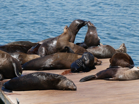 Ebike Cape Town-开普敦中心区必去景点