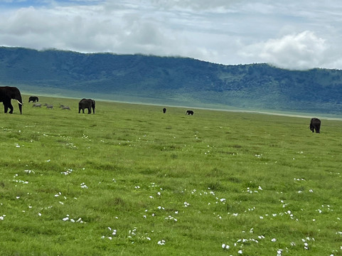歌珊地非洲游猎之旅-阿鲁沙必去景点