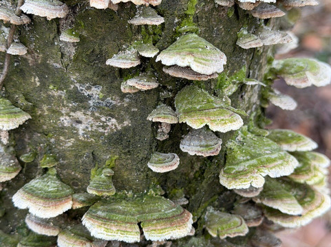 Susquehanna State Park-Havre de Grace必去景点