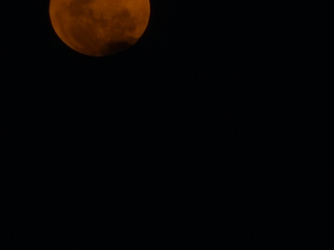 K Safaris-坎帕拉必去景点