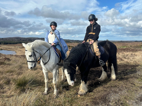 Moycullen Riding Centre-Moycullen必去景点