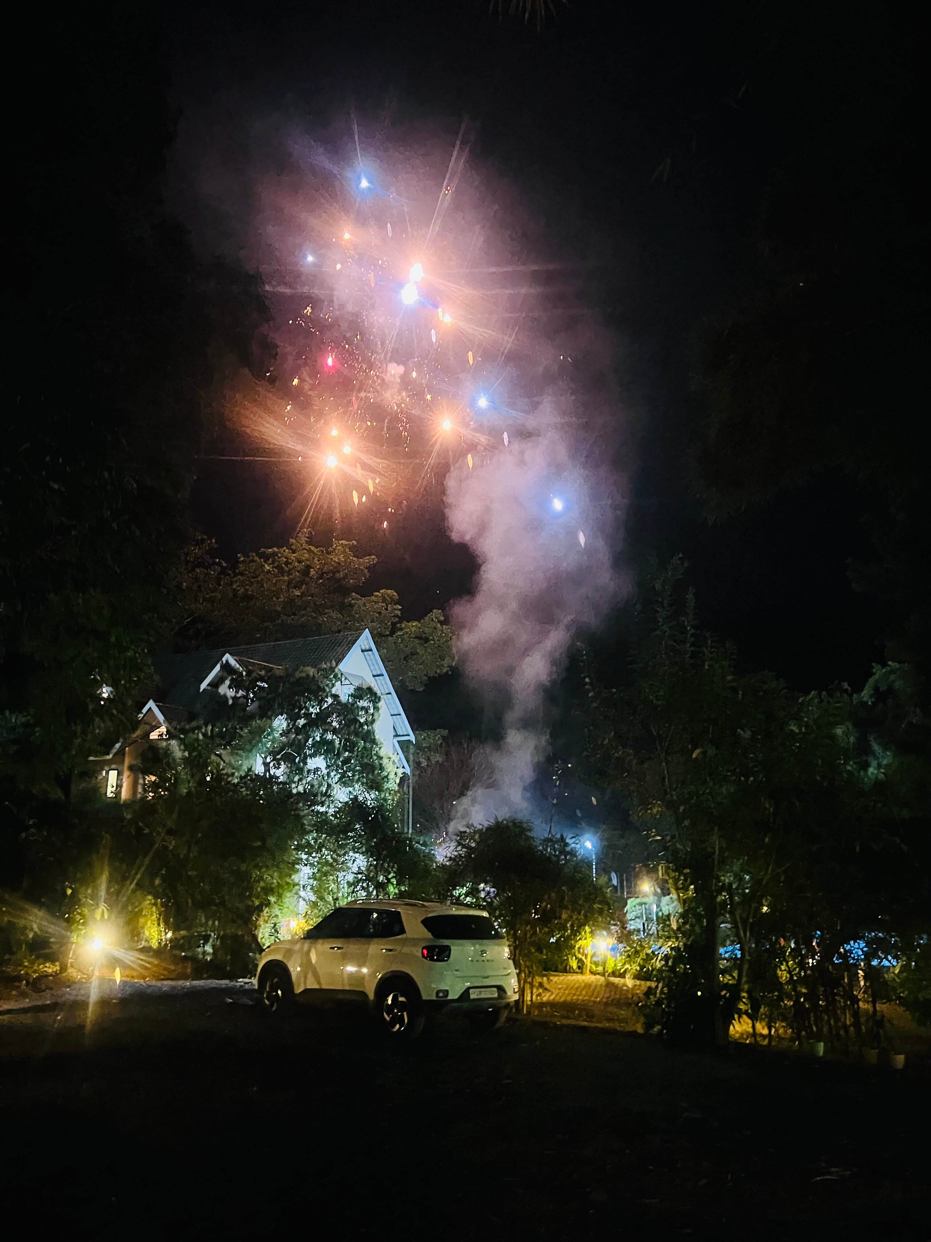 维蒂里格林斯度假村-官方