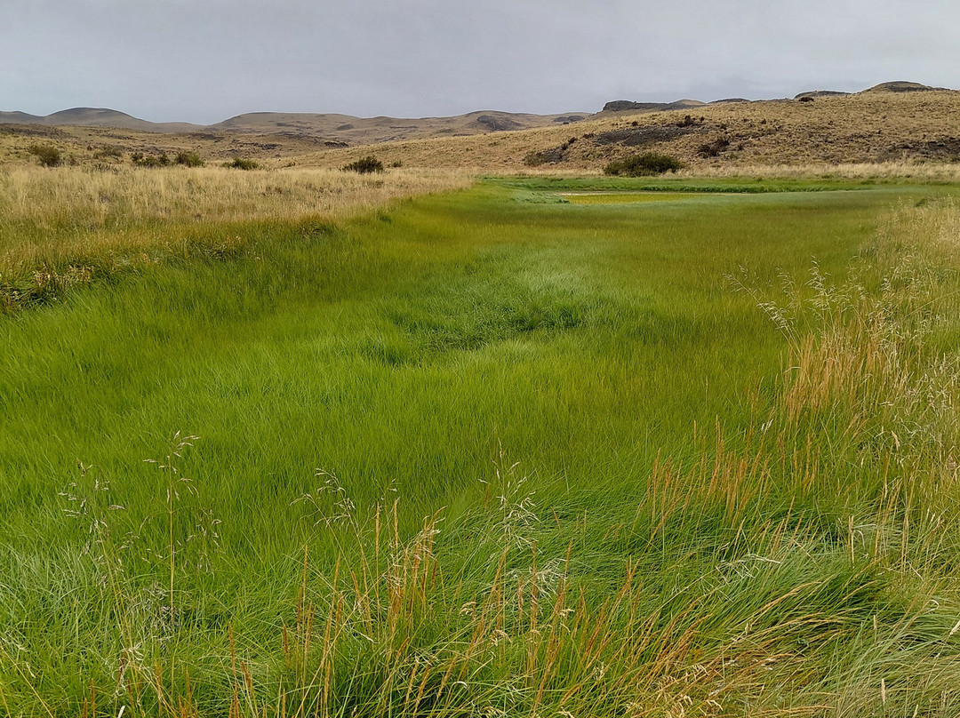 Erráticos del Sur-Torres del Paine必去景点