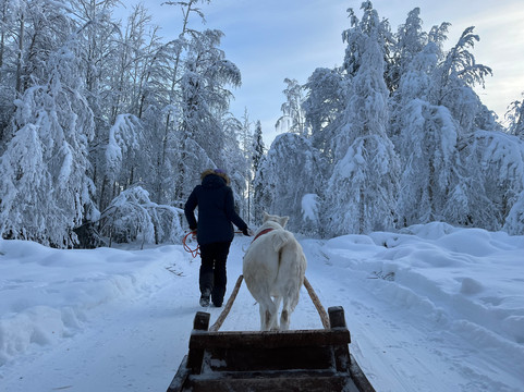 Wild Nordic Levi-Levi必去景点