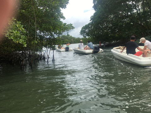 Alizes Adventure-Sainte Rose必去景点