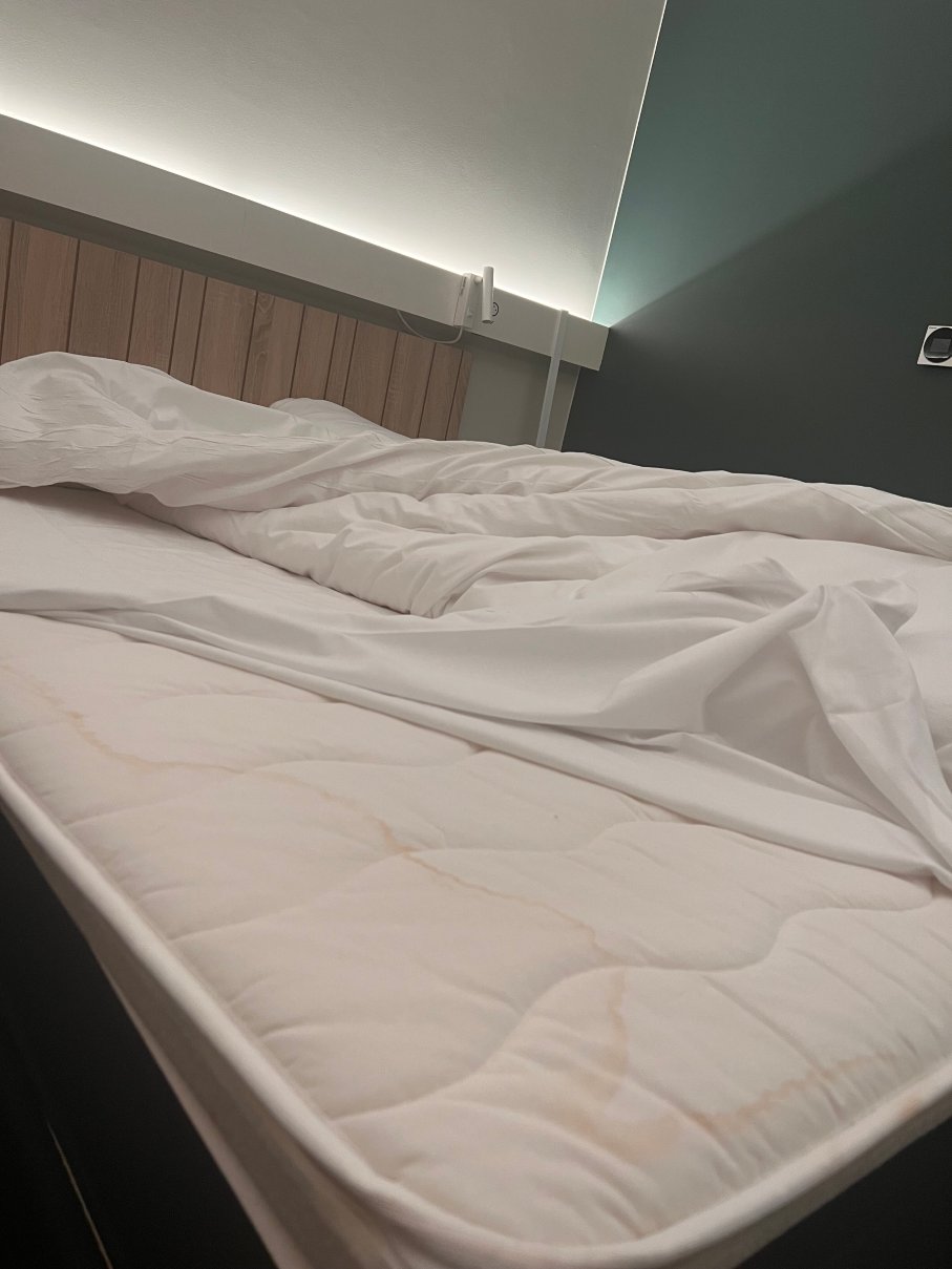 宜必思里昂东梅济厄酒店-官方