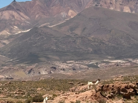 Tupiza Tours-Tupiza必去景点