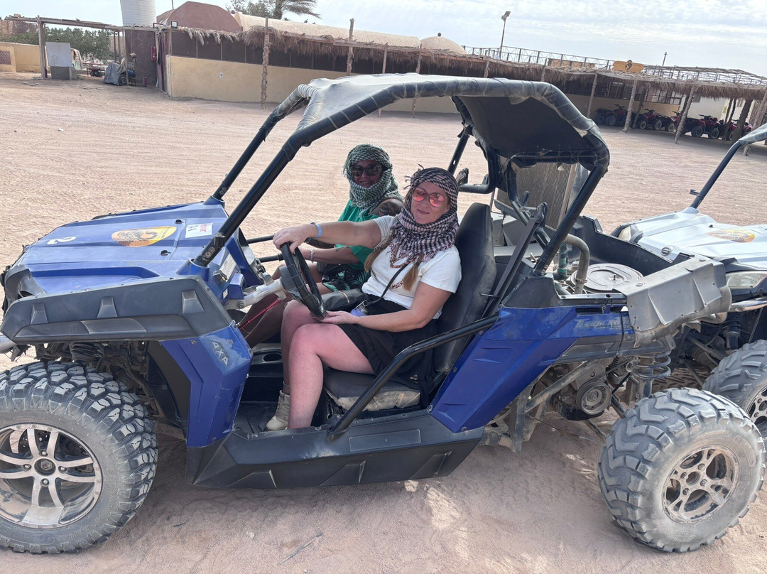 Scorpion Safari-赫尔格达必去景点