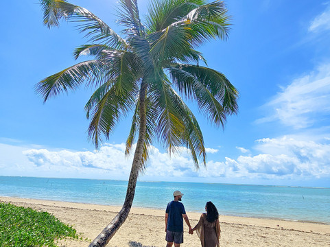 Maragogi Tour-Maragogi必去景点