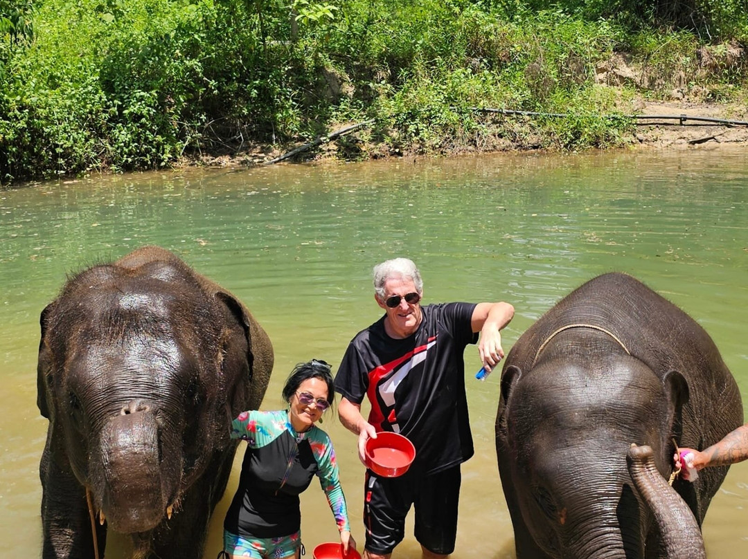 Khao Lak Elephant Home-拉克山必去景点
