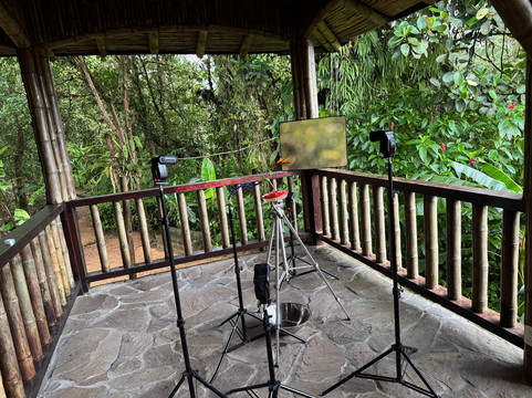 San Jorge Eco-Lodge & Botanical Reserve主图