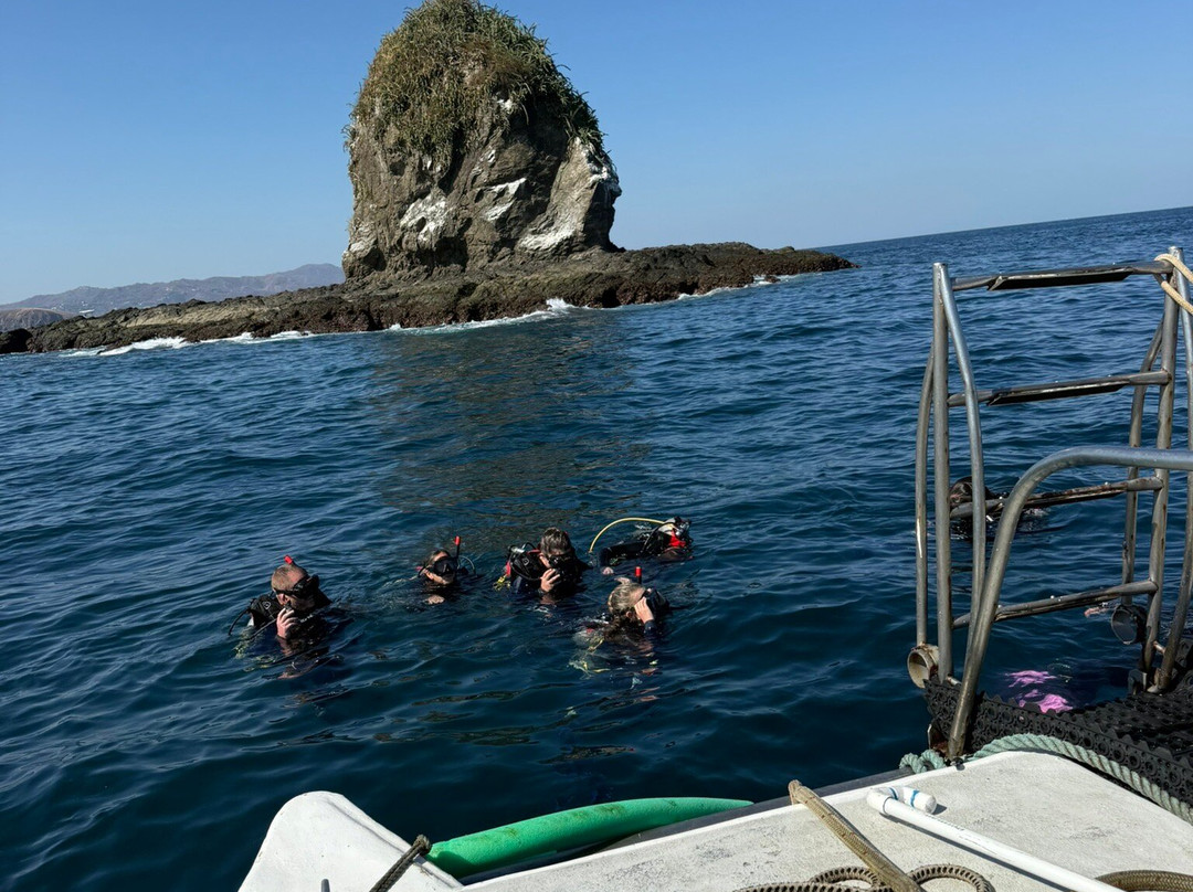 Rocket Frog Divers-Playas del Coco必去景点