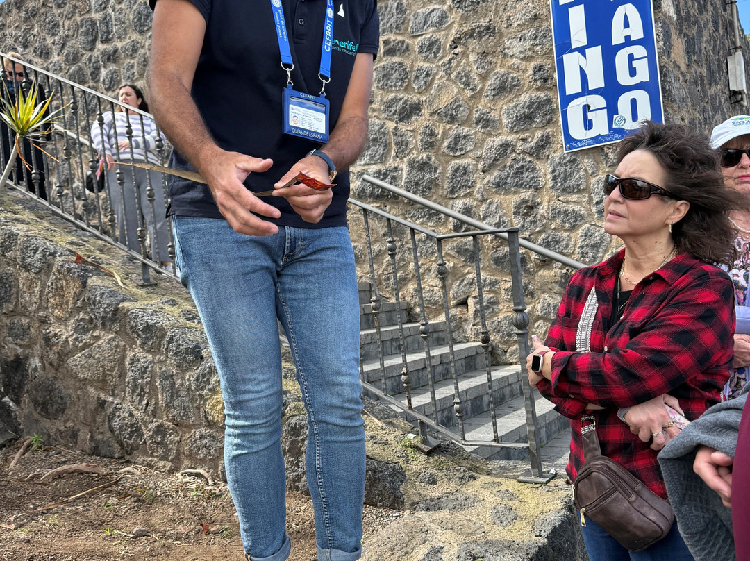 Tenerife 100 Cultures-特纳里夫必去景点